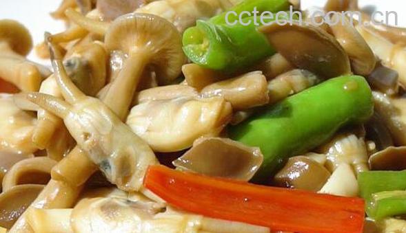 鹿茸菇的功效与作用-1