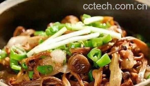 鹿茸菇的功效与作用-0