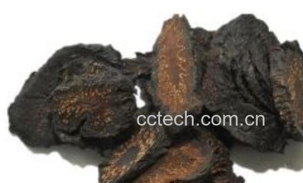 肉松茸有什么功效 肉松茸的功效与作用-1