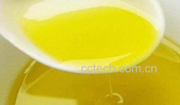 什么是生茶油 生茶油的功效与作用-1