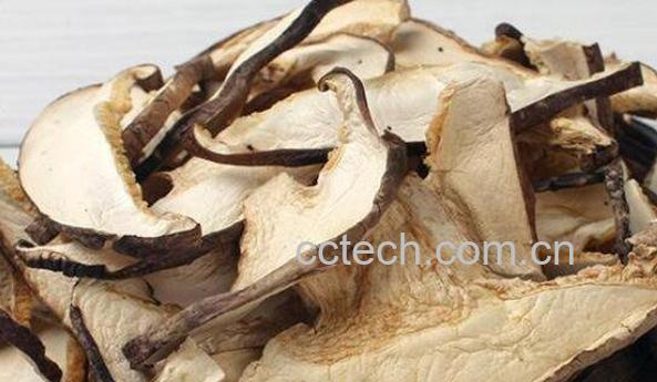 雪山松茸有什么功效 雪山松茸的功效与作用-0