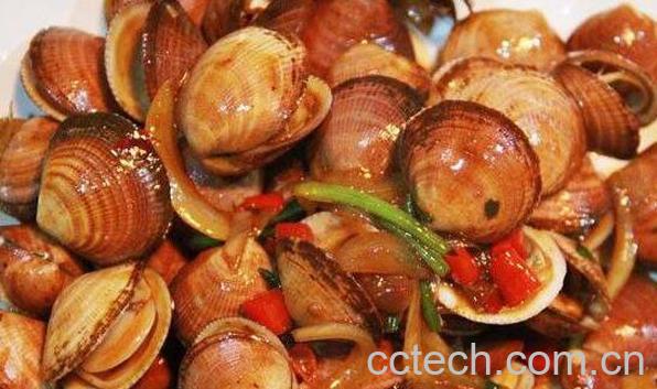 海鲜红贝的功效与作用 红贝的食用方法-1