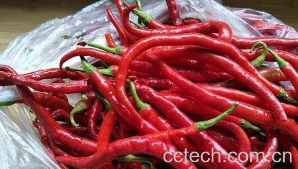 辣椒蒂的药用价值 辣椒蒂可以吃吗-0