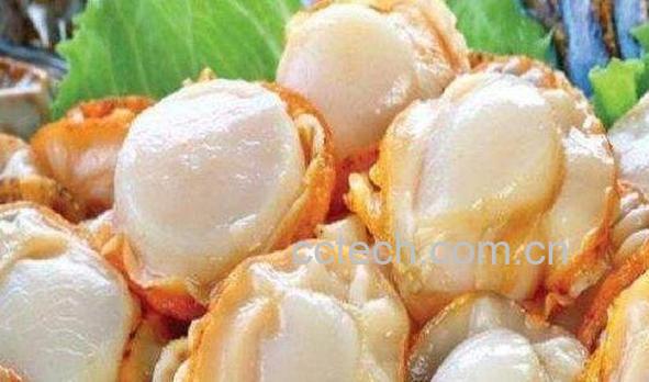 全贝的功效与作用 全贝的营养价值-1