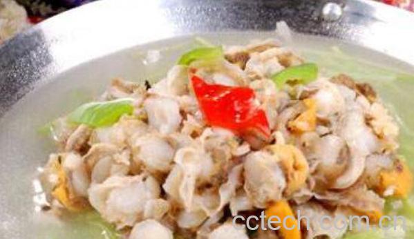 全贝的功效与作用 全贝的营养价值-0