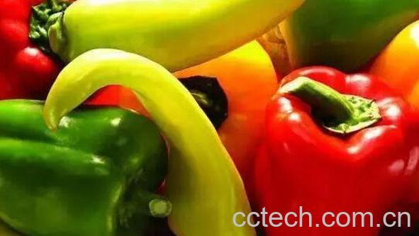 辣椒蒂的药用价值 辣椒蒂可以吃吗-1