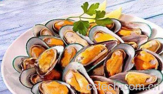 海虹的营养价值及功效-1