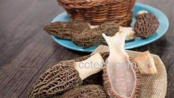 羊肚菌的功效与作用-0