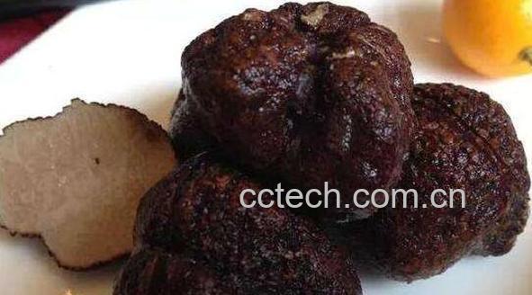 黑松露的功效与作用 黑松露怎么吃最好-1