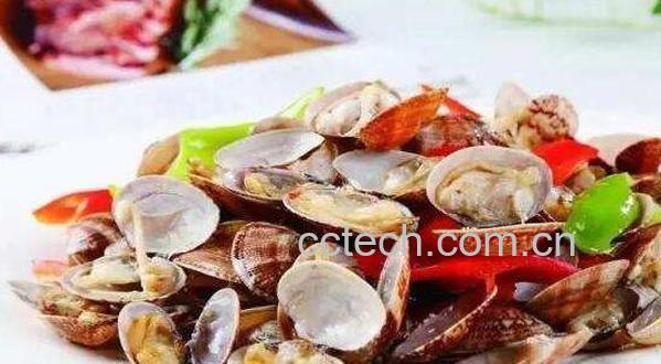 花贝的功效与作用 花贝的营养价值-0