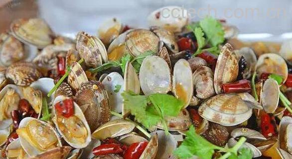 花贝的功效与作用 花贝的营养价值-1