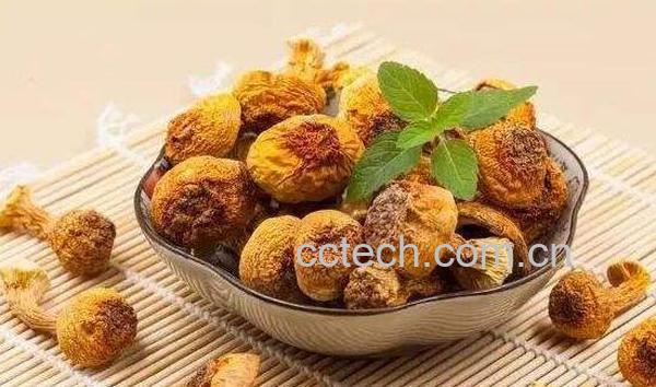 姬松茸的功效和作用 姬松茸的吃法-0