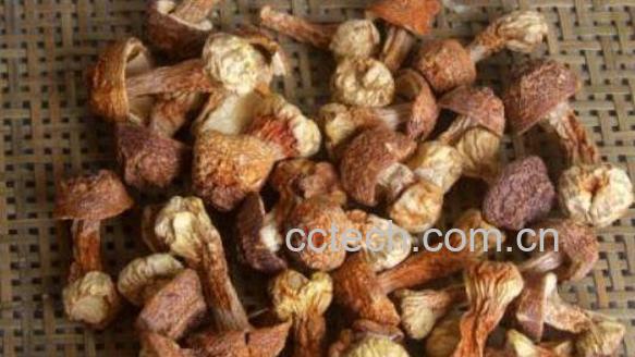 姬松茸的功效和作用 姬松茸的吃法-1