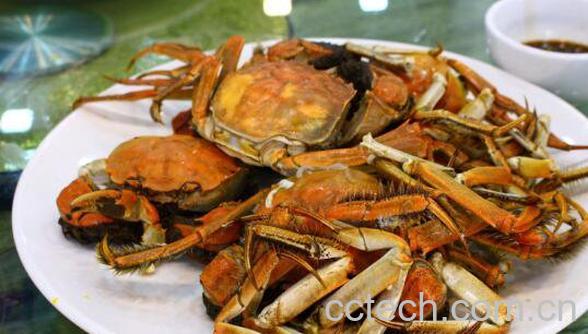 河蟹功效与作用-1