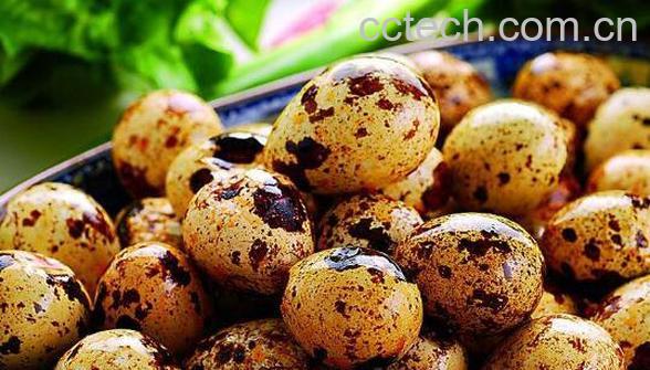 鹌鹑蛋的功效与作用 鹌鹑蛋的禁忌-0