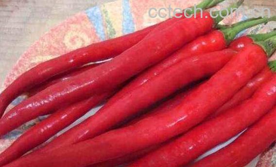 美人椒怎么做好吃 美人椒的家常做法-0