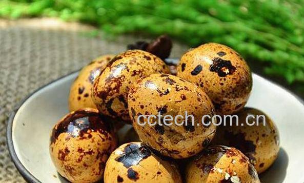 为什么只吃鹌鹑蛋 鹌鹑蛋的功效与禁忌-0