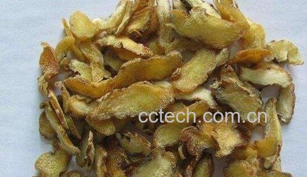 老虎姜的功效与作用 老虎姜的药用价值-0