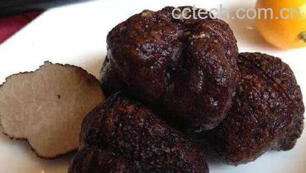 黑松露怎么吃 黑松露的家常做法教程-0