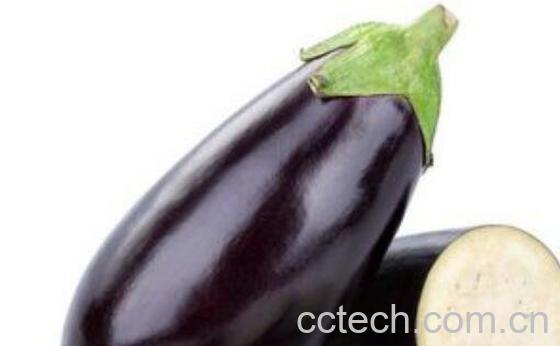 茄子头煮水的功效与作用-1