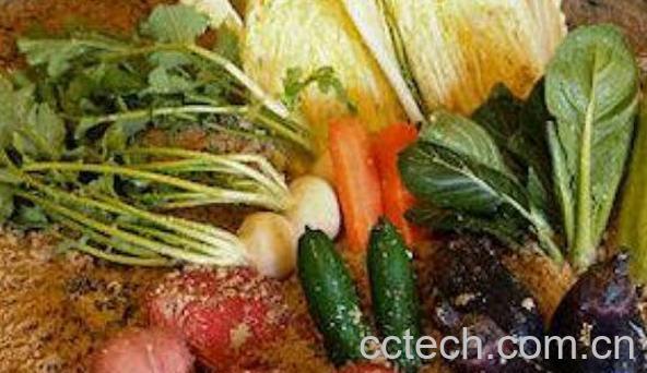 米糠酱菜什么味道 日式米糠腌菜怎么做-1