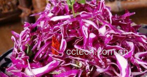 紫甘蓝可以生吃吗 紫甘蓝的家常食用方法-0