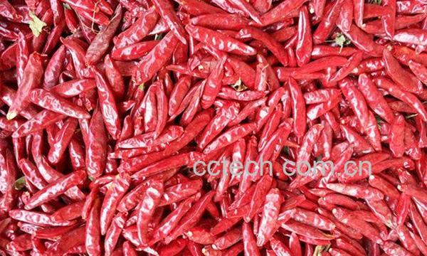干辣椒-0