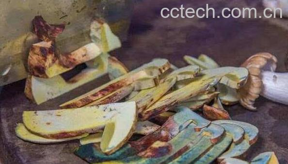 见手青的功效与作用 吃见手青的好处-0