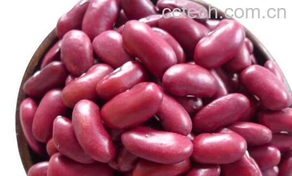 红芸豆和红腰豆的区别 红芸豆的功效-1