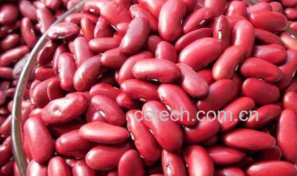 红芸豆和红腰豆的区别 红芸豆的功效-0