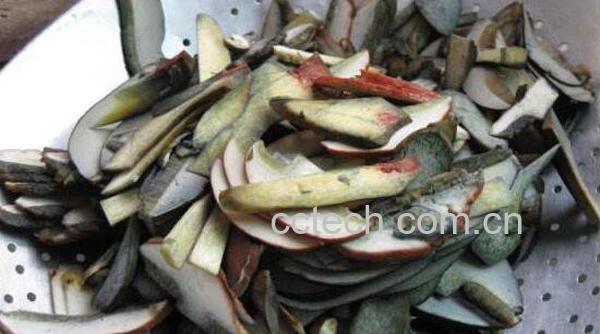 见手青怎么吃 见手青的食用方法-1