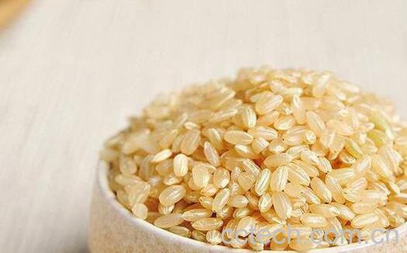 糙米的营养价值及功效-1