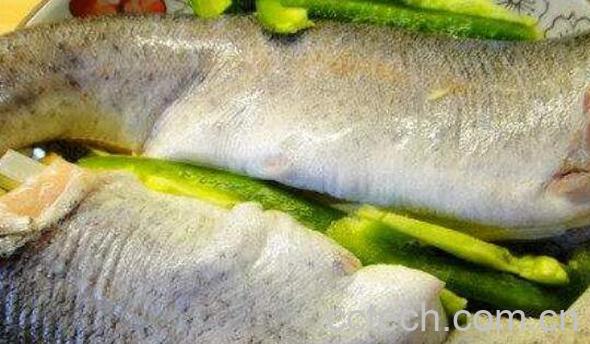 虹鳟鱼怎么做好吃 虹鳟鱼做法教程-0