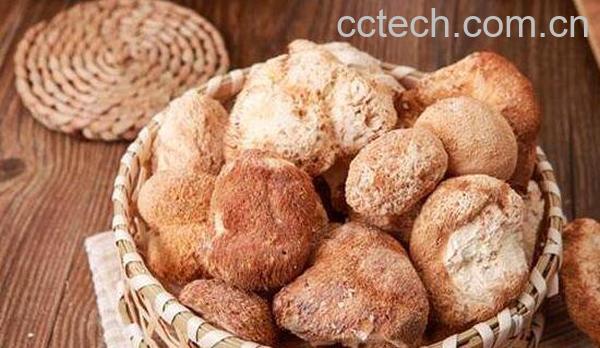 干猴头菇怎么吃 干猴头菇的家常做法-0