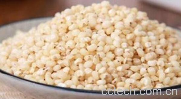 高粱米怎么吃 高粱米和什么米搭配好-1