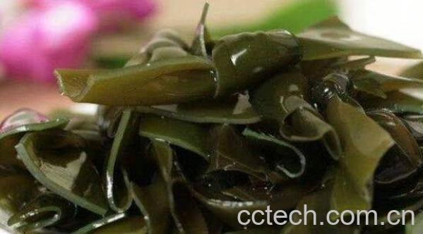  女人常吃海带的效果 每天吃海带有什么危害-1