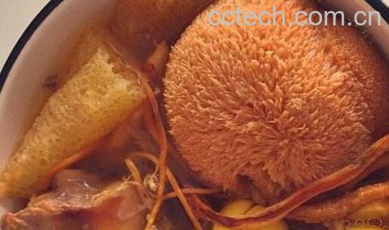 猴头菇的功效与作用 吃猴头菇的禁忌-0