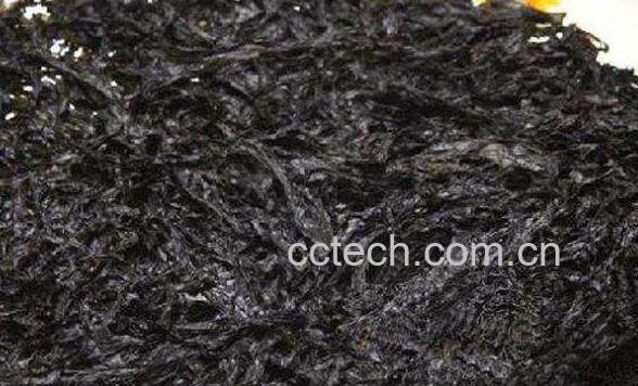 女人吃紫菜有什么好处 女人吃紫菜的危害-0