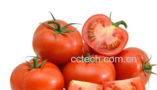 番茄红素的功效与作用 番茄红素可以长期吃吗-1