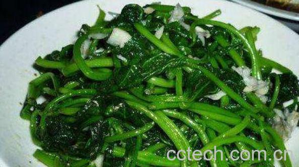 什么人不能吃红薯叶 红薯叶子的禁忌-0