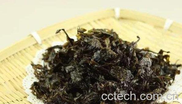 紫菜有什么功效与作用-0