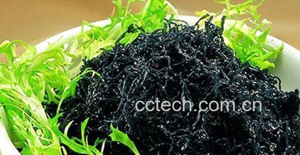 紫菜有什么功效与作用-1