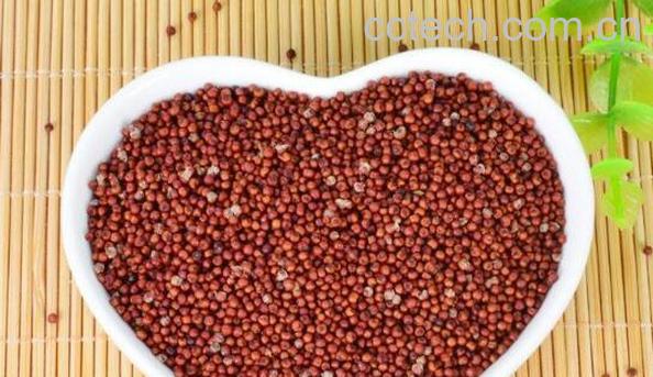 鸭脚粟什么人不可以吃 鸭脚粟的禁忌-1