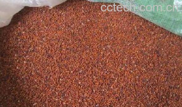 鸭脚粟什么人不可以吃 鸭脚粟的禁忌-0