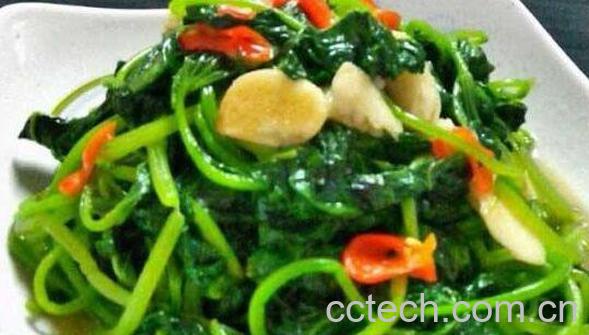 地瓜叶子怎么做好吃 地瓜叶的家常做法教程-0