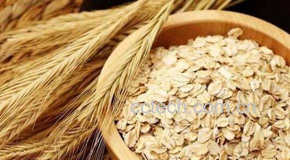 野麦子怎么吃 野麦子止虚汗的服法-1