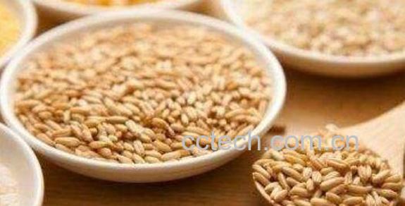 野麦子怎么吃 野麦子止虚汗的服法-0