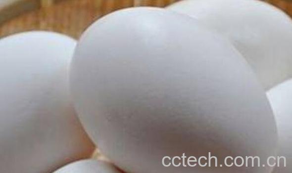 鹅蛋对女人有什么好处 女性长期吃鹅蛋的好处-1