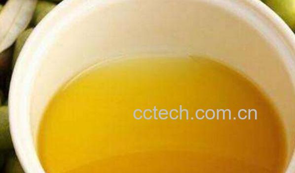 茶油的美容功效与作用-1