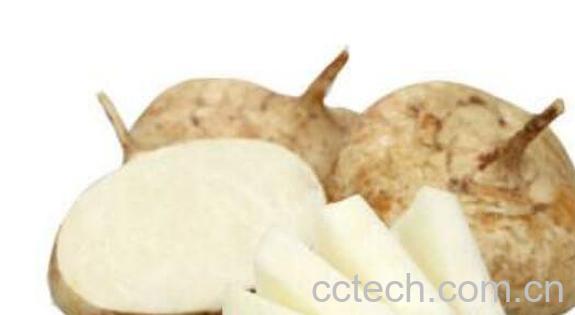 土瓜怎么吃最有营养 土瓜怎么做好吃-0